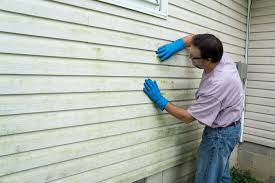 Best Aluminum Siding Installation  in Waipio, HI